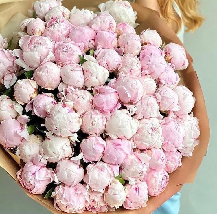 Bouquet Fleurs Tendance Decouvrez Le Tous Les Mois Monsieur Flower Bouquet Fleurs Tendance Decouvrez Le Tous Les Mois Monsieur Flower